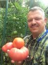 jacek66s